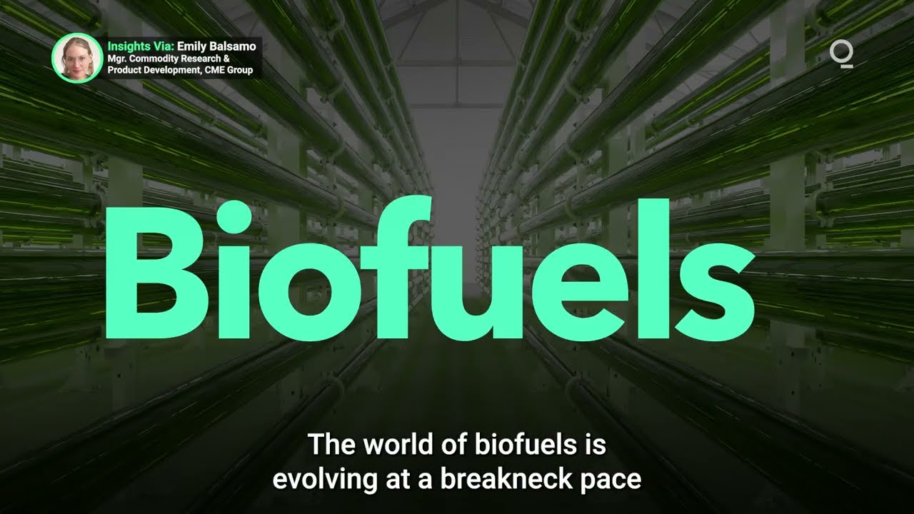 How Is Global Production of Biofuels Accelerating?