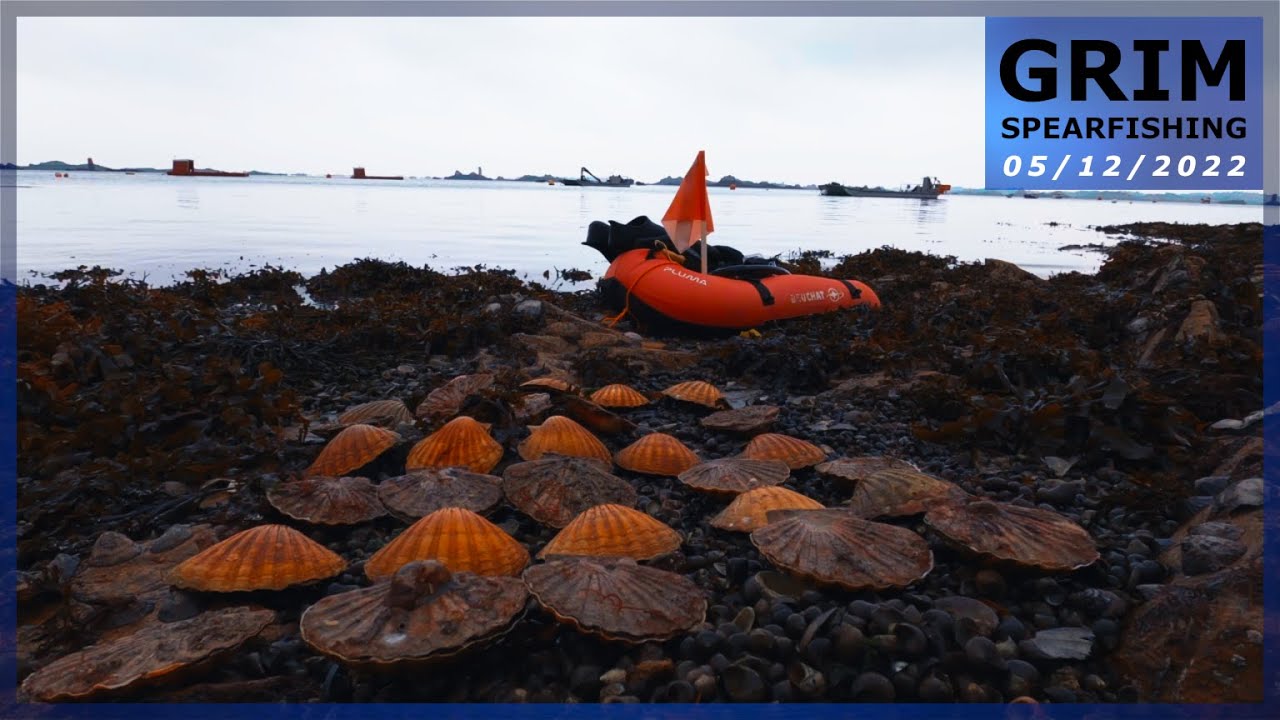 Chasse sous-marine (Côtes d'Armor 22) - Sortie coquilles Saint-Jacques dans une eau très glauque