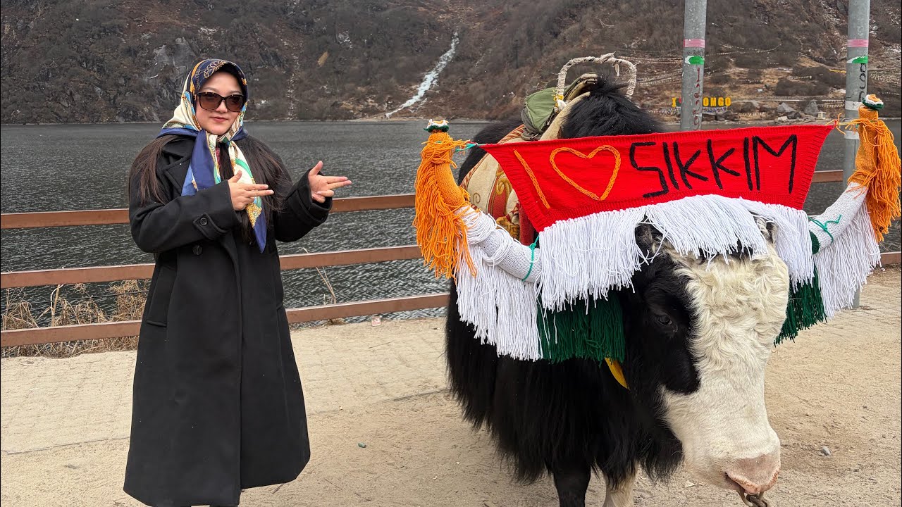 First Snowfall ☃️😱 @Tsomgo Lake|| East Sikkim|| 03.01.2026