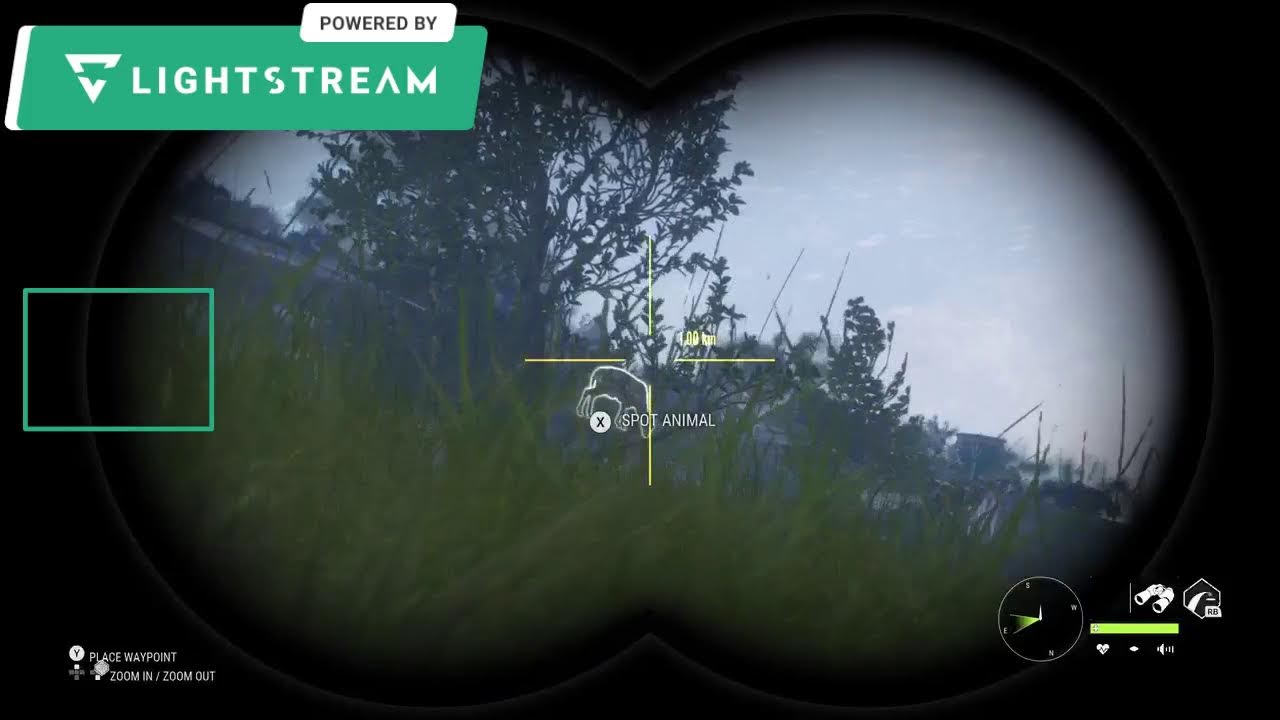 My Stream