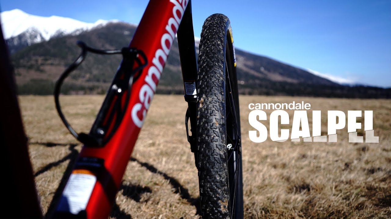 Cannondale Scalpel HT 2 - totálny univerzál