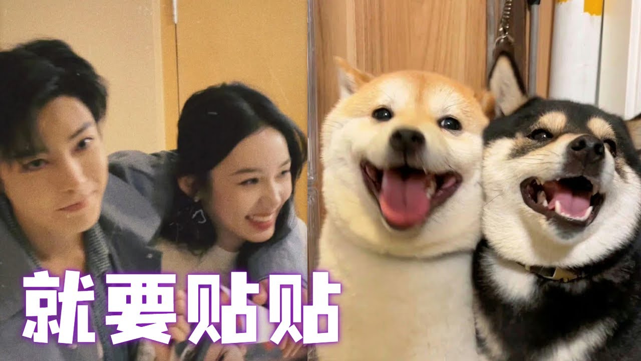 周也盲猜侯明昊童年照全对，包办婚姻就是甜！#护心【偶像星剧场】
