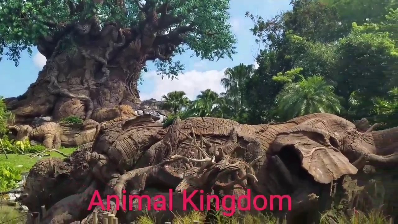 ANIMAL KINGDOM'S PANDORA NAVI RIVER JOURNEY RIDE  (FULL) & REVIEW