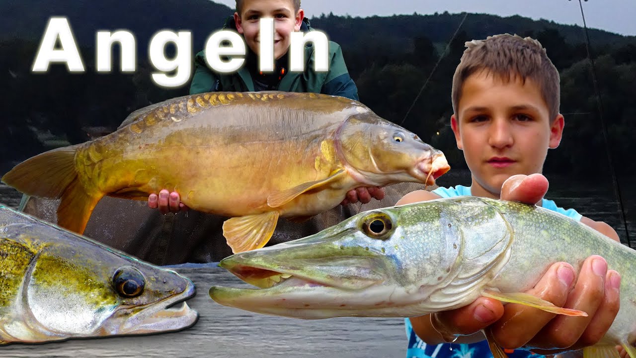 Angeln - Fischen | Karpfenangeln, Forellenangeln, Raubfischangeln,.. Jahresrückblick - Best of 2021