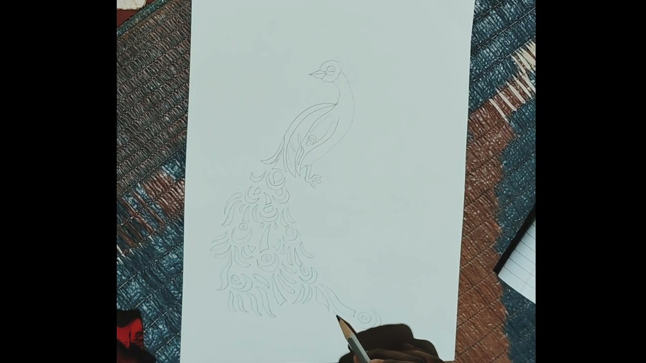 How to make basic design peacock drawing// step by step// colour pencil sketch..... 