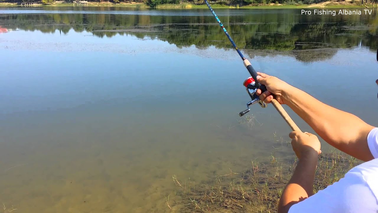 Si te gjuajme me imitues ne det - video per fillestare. Pro Fishing Albania