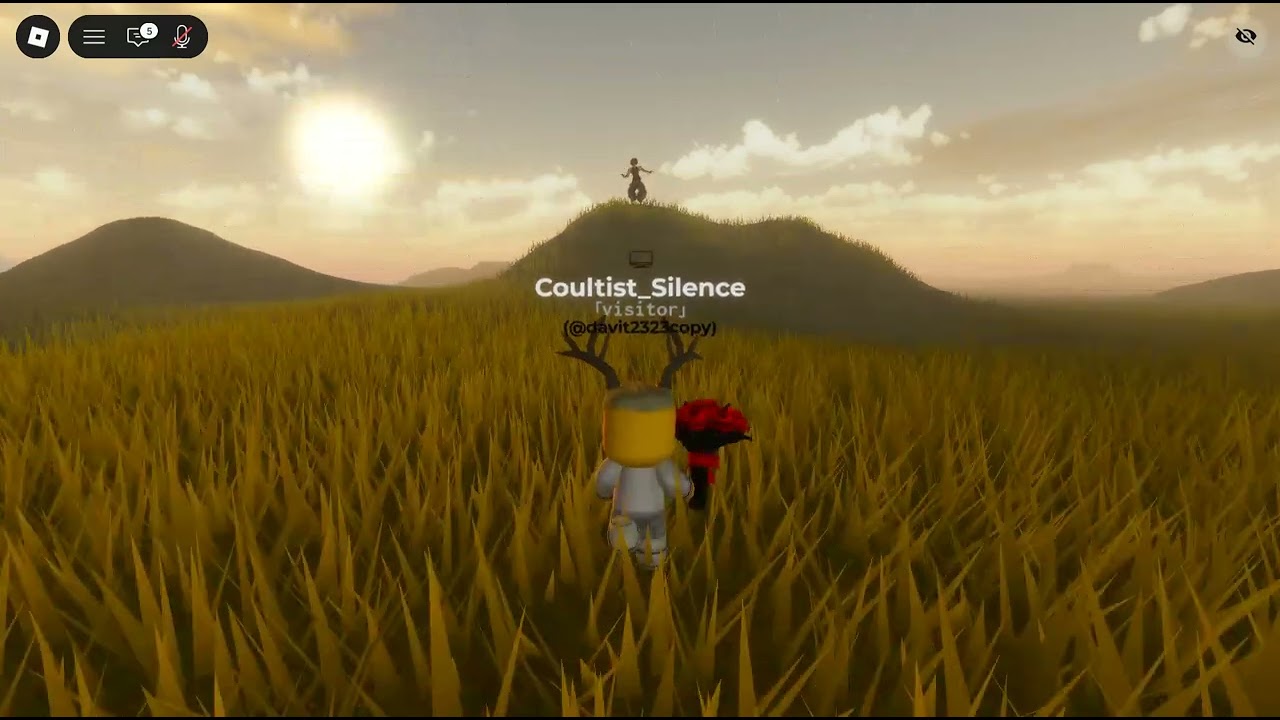 me walking in the grass