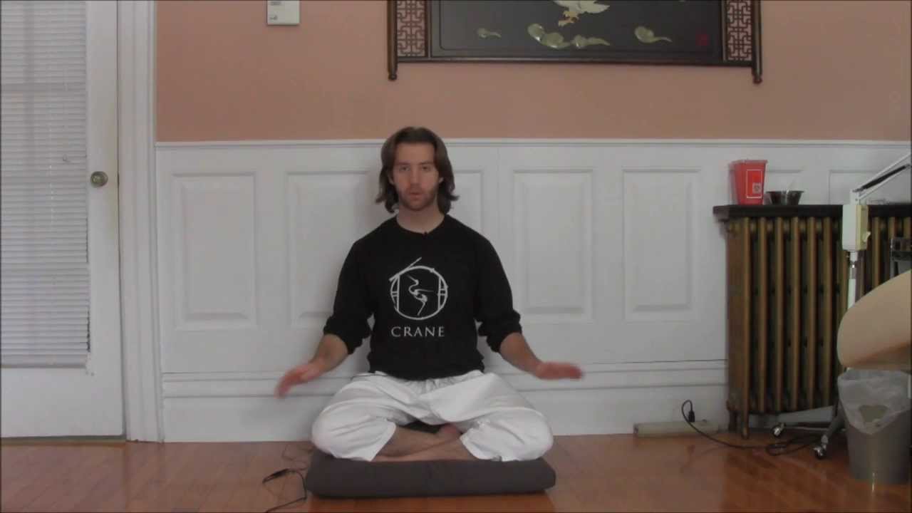 A 3 Minute Video on Healing Sounds to Detox the Spleen!