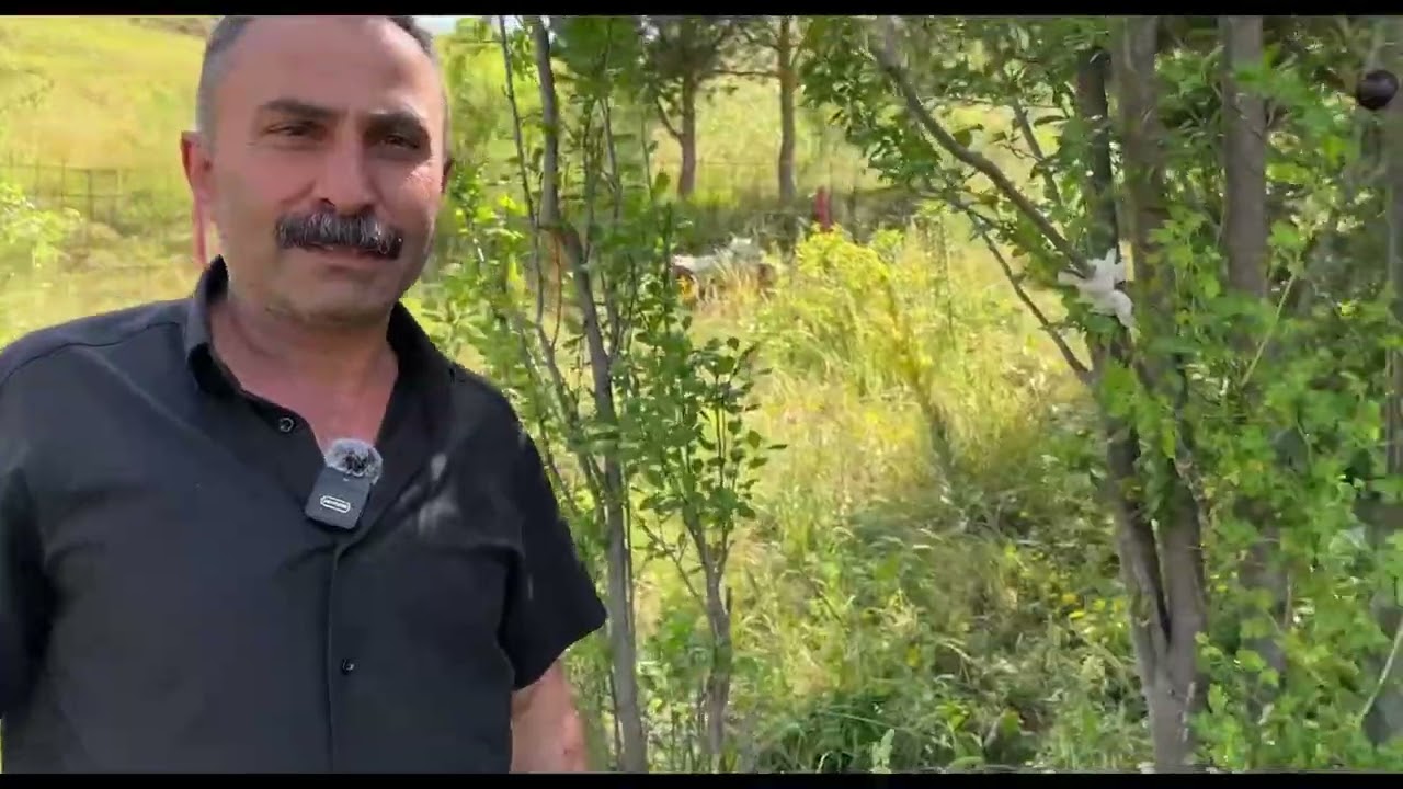Zara Göktepe 2025