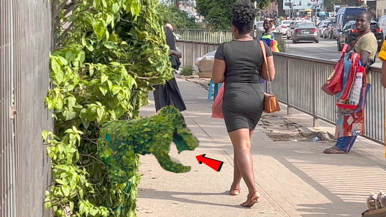She threw her hand bag at Bushman! Bushman Prank!