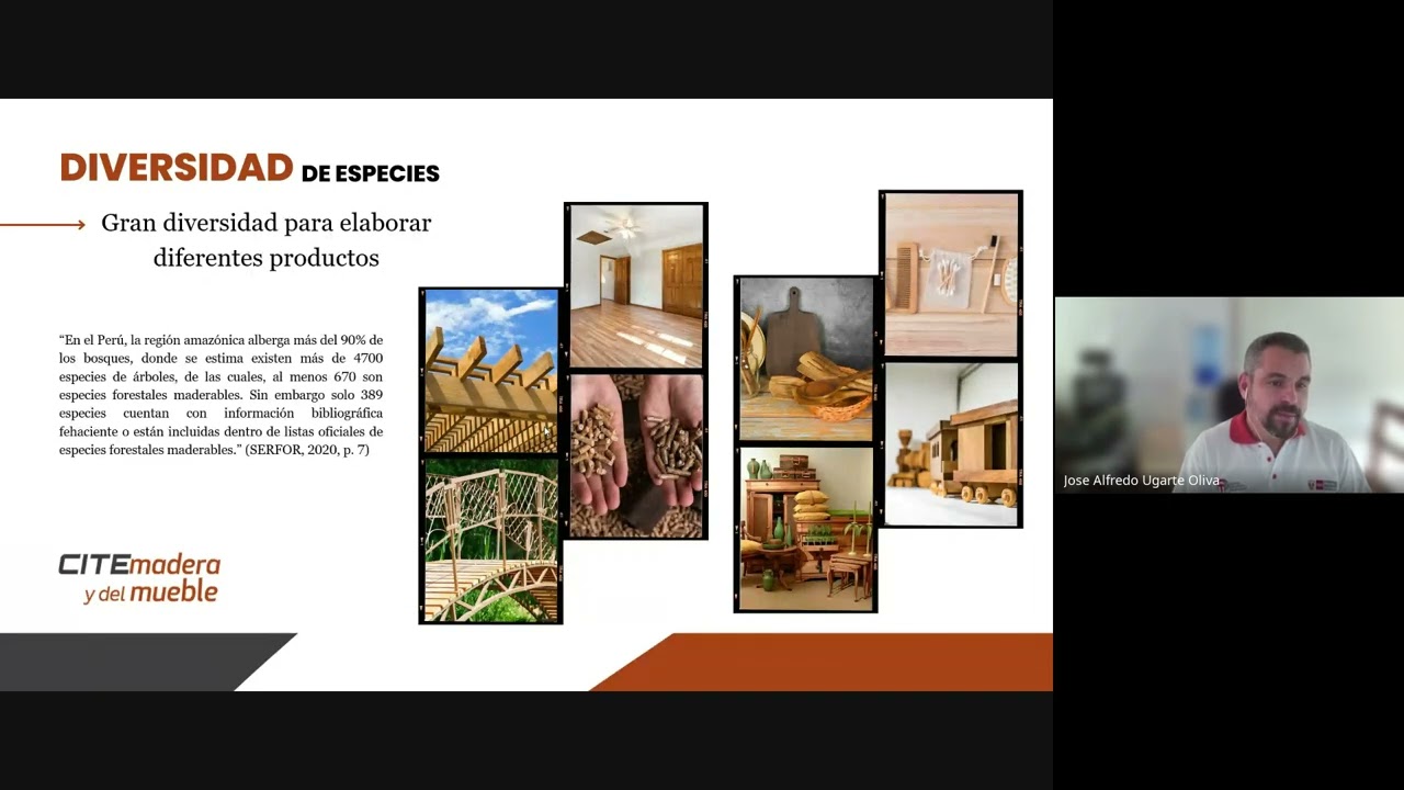 Charla Aspectos fundamentales de la madera para asegurar la calidad de productos maderables