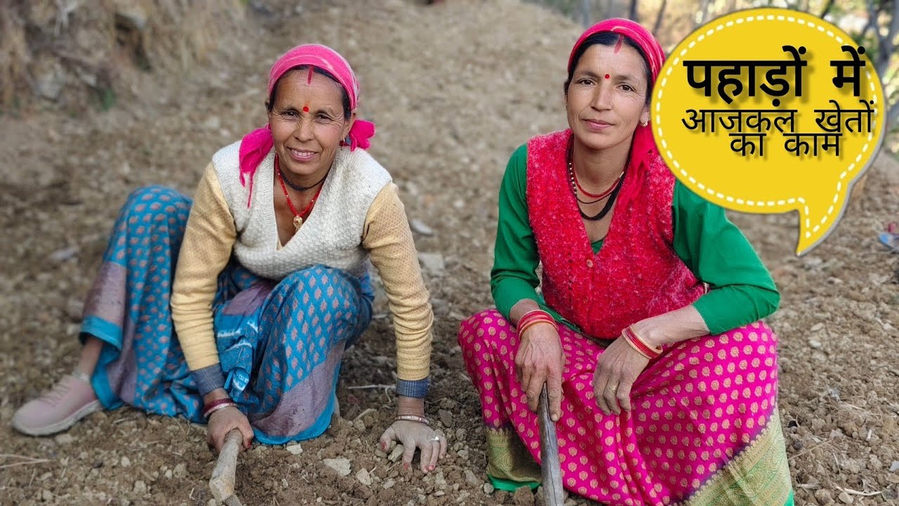 आजकल खेतों का काम |Lucky rawat vlogs|pahadi lifestyle vlog|