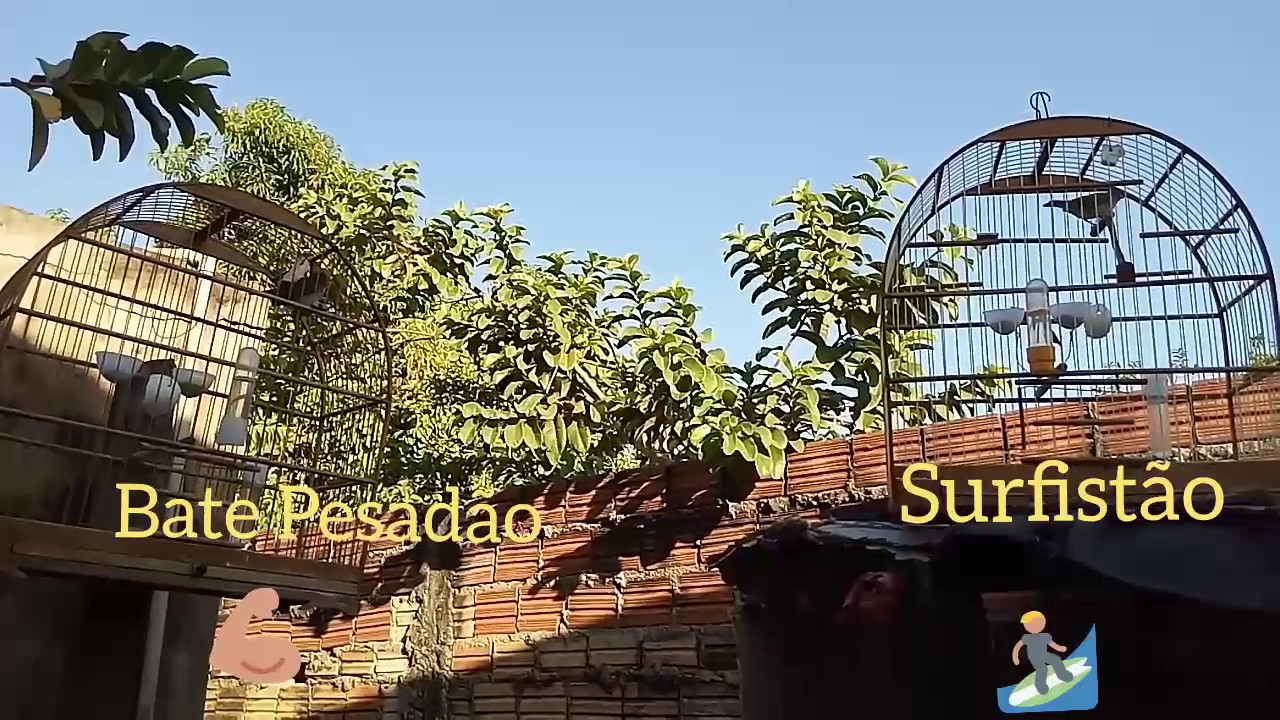 Surfist&atilde;o vs Bate Pesad&atilde;o