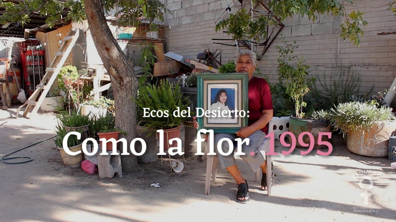 Ecos del Desierto - Como la flor 1995