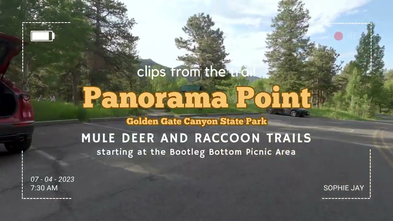 COLORADO: MOOSE encounter on July 4th hike in Golden Gate Canyon State Park [2.7k HD]