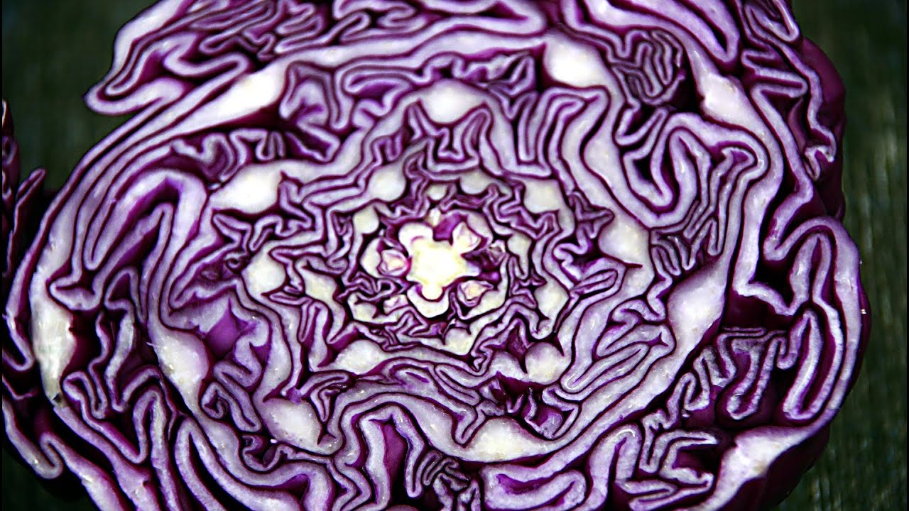 Simple Sweet and Sour Cabbage Recipe - GardenFork.TV