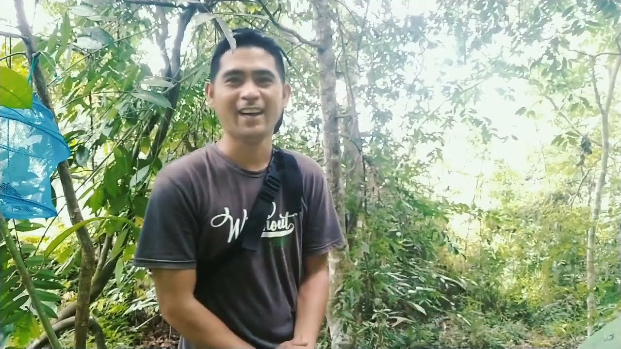 MIKAT SEMUA BURUNG DI GUNUNG AUTO KOCAR KACIR DEPAN MATA POIN BURUNG MEWAH