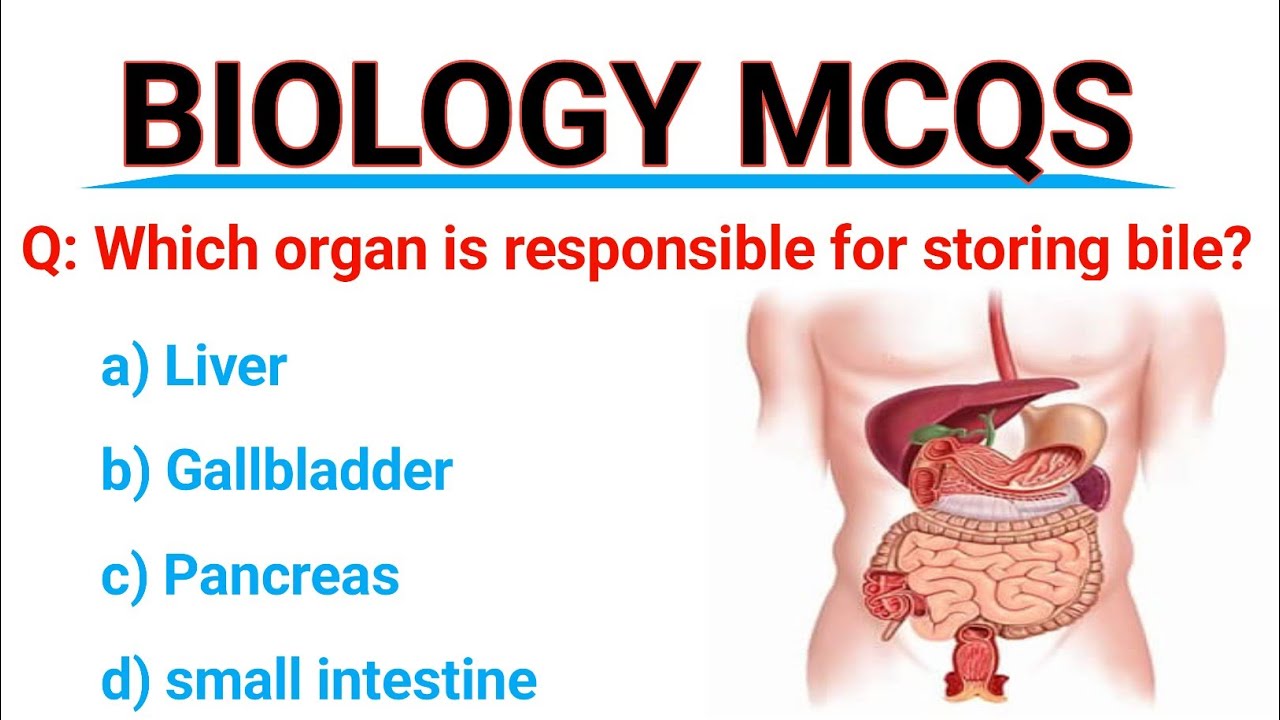 Biology mcq | digestive system mcq | digestive system mcqs for neet | all exams