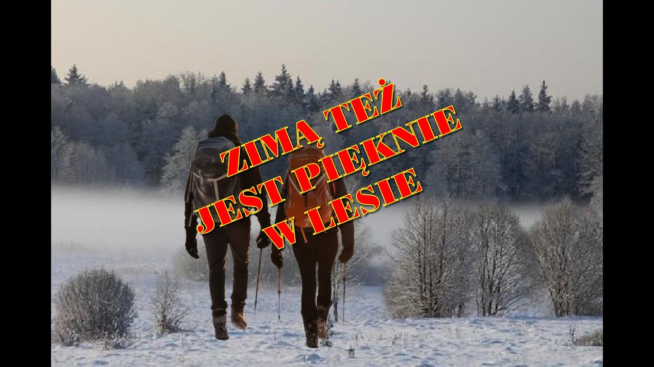 Zet Zet Zet czyli Zimowe Zwiedzanie Zawadzkiego.