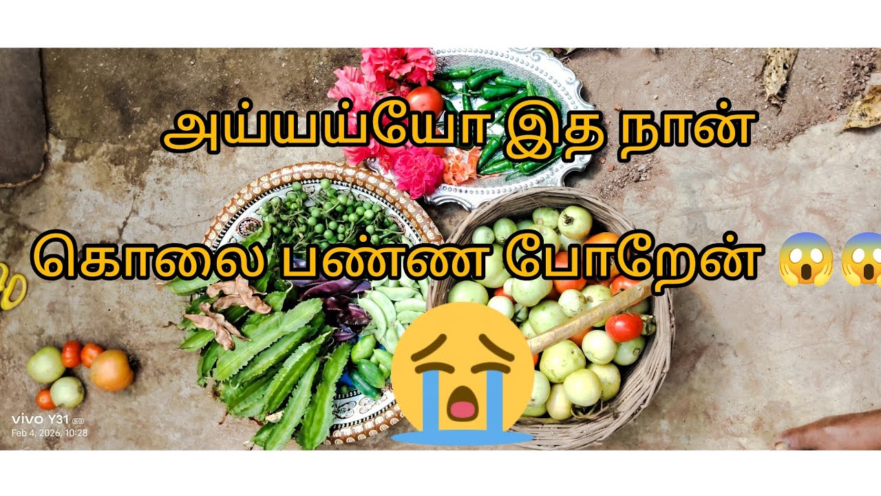 இந்த ரணகளத்திலும் மூணு தொட்டு அமோக அறுவடை