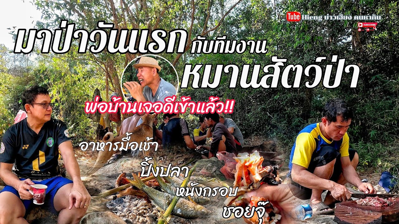 เข้าป่าวันแรกกับทีมงานหมานสัตว์ป่า//ເຂົ້າປ່າວັນແລກກັບທີມງານຫມານສັດປ່າ Hieng บ่าวเฮียง คนหากิน