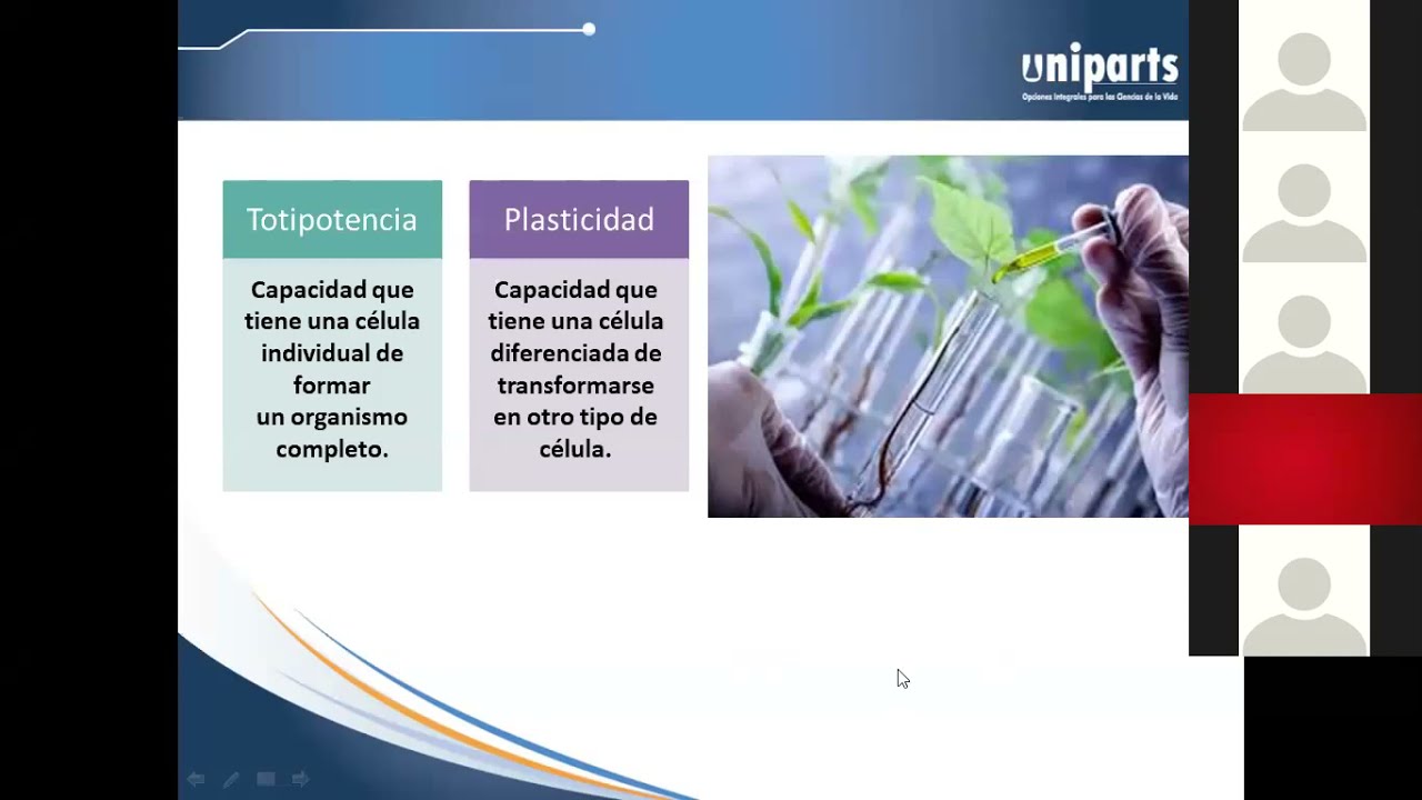 Introducción a la micropropagación.