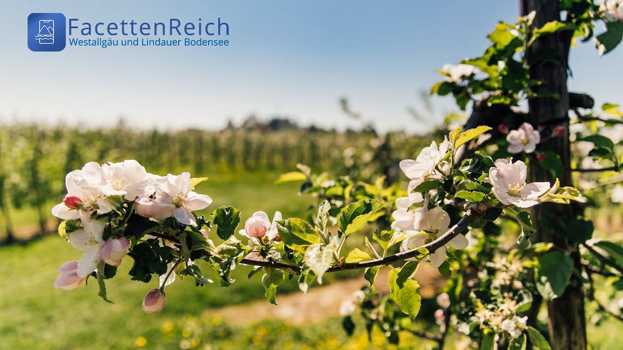 Regionaler Genuss &ndash; Obstbau, Spezialit&auml;ten und Gaumenfreuden