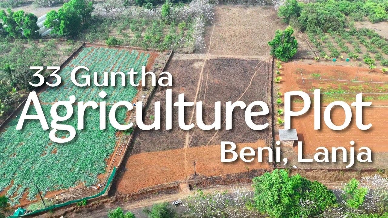 33 Guntha Premium Road Touch Agricultural Plot in Konkan | Beni Lanja Ratnagiri | High Growth Land