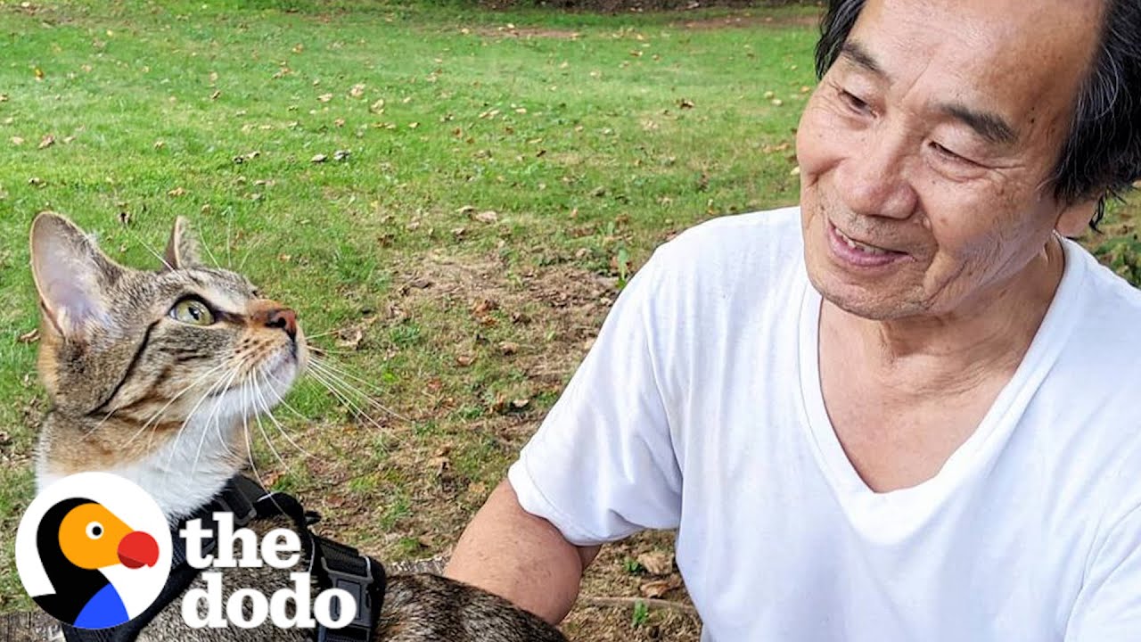 Dad Who Swore He Wasn't A Cat Person Fosters 75 Kittens | The Dodo