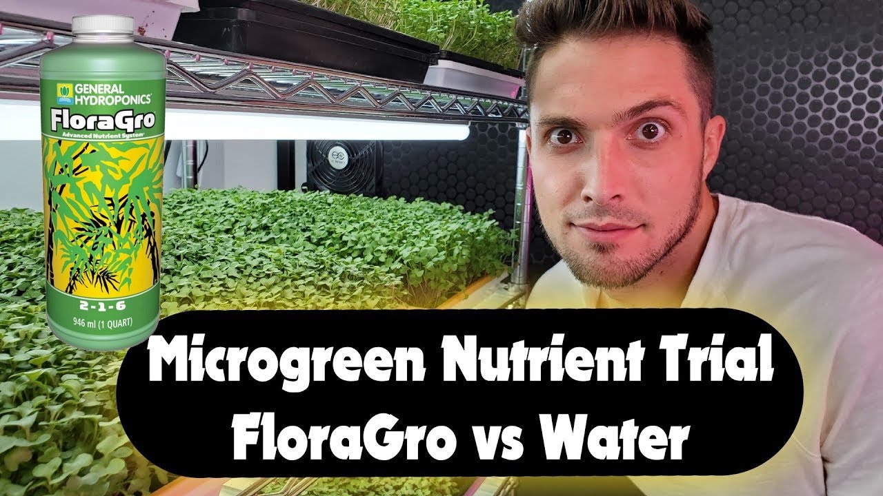 FloraGro vs pH Balanced Water for Microgreens — Is the Nutrient Worth It?