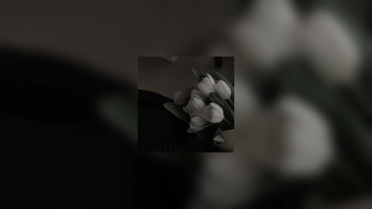 dancing on my own ; calum scott [sped up / nightcore]
