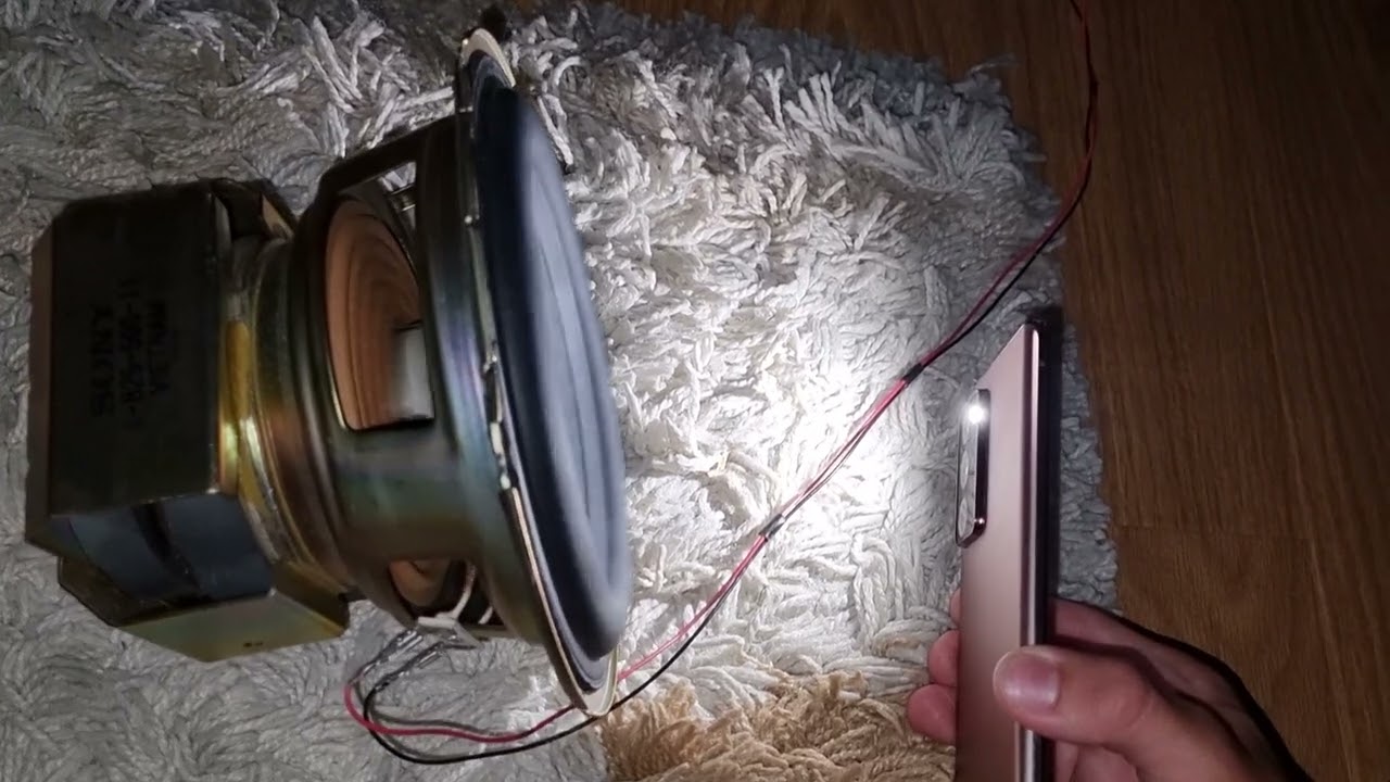 Bass test subwoofer speaker sony ss-ws5