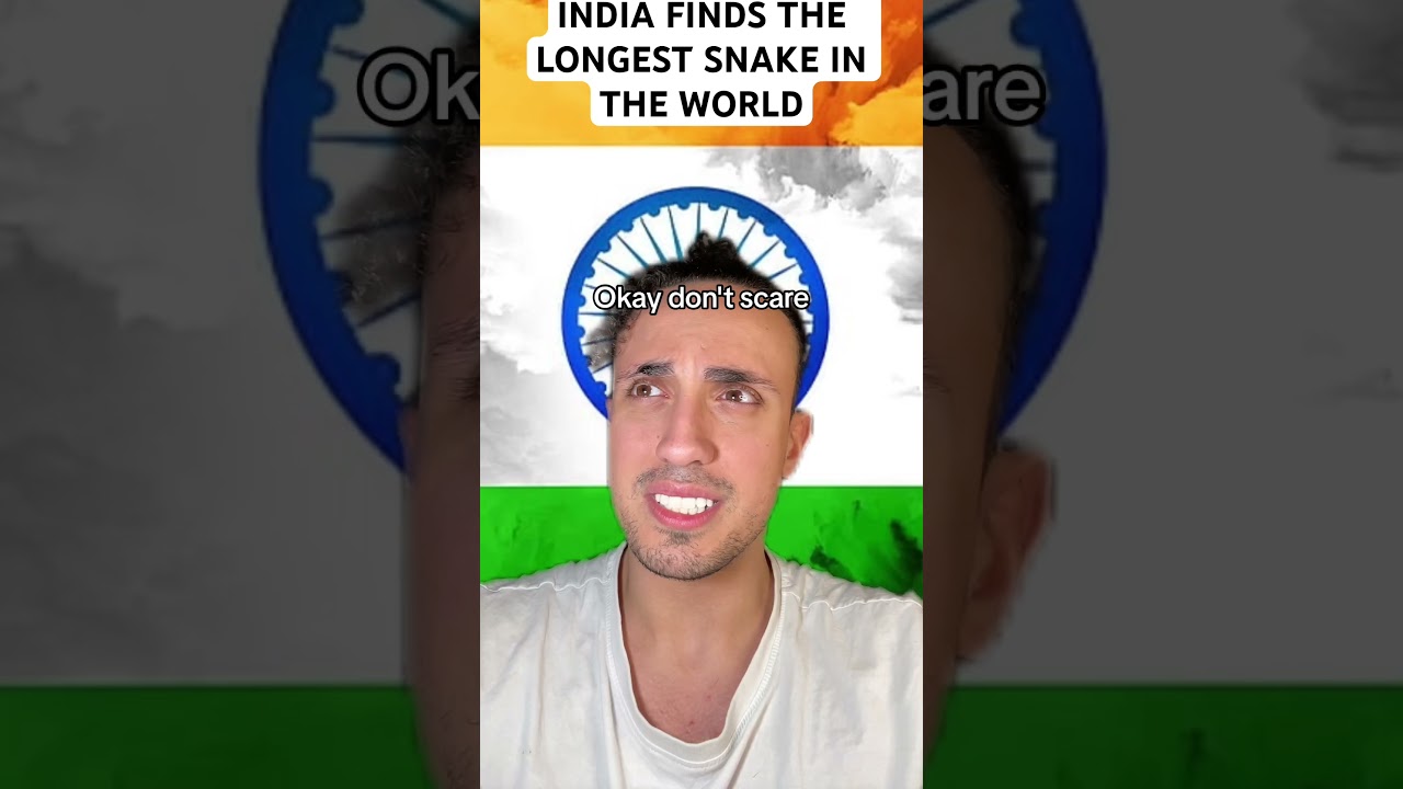 India Finds The Longest Snake In The World