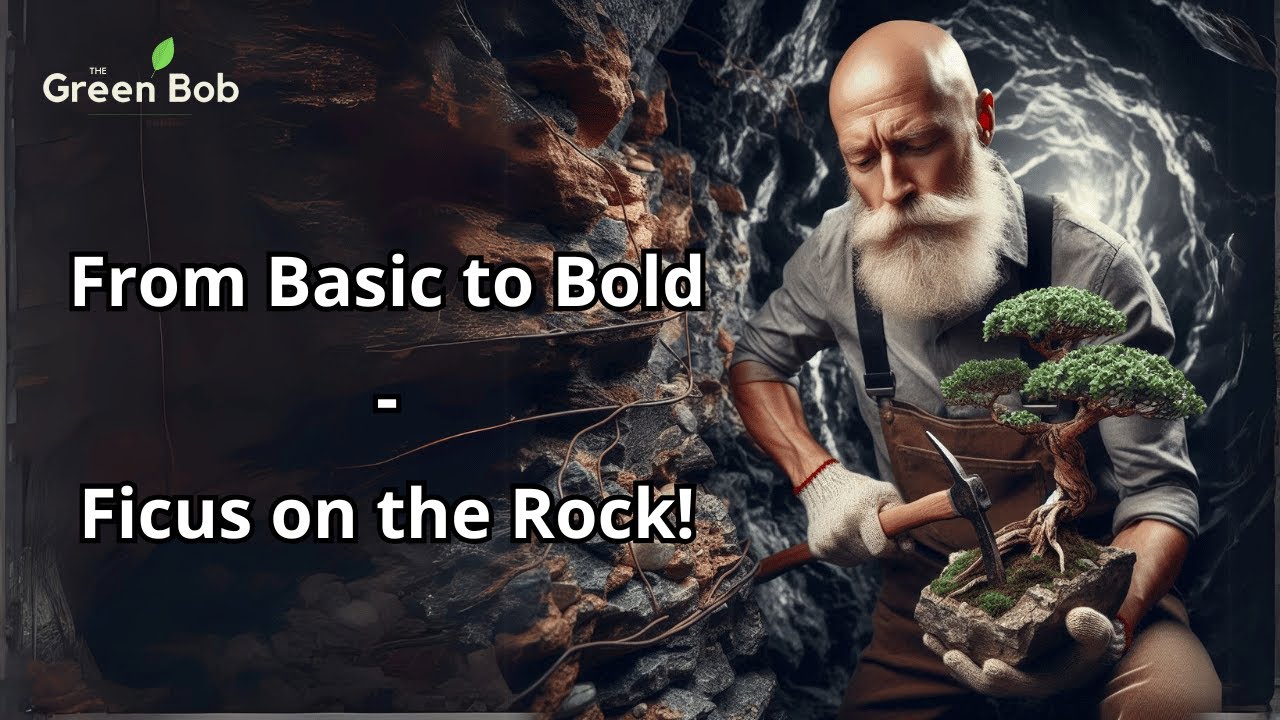 Turning a Common Nursery Ficus Ginseng into a Rock-Grown Bonsai Masterpiece