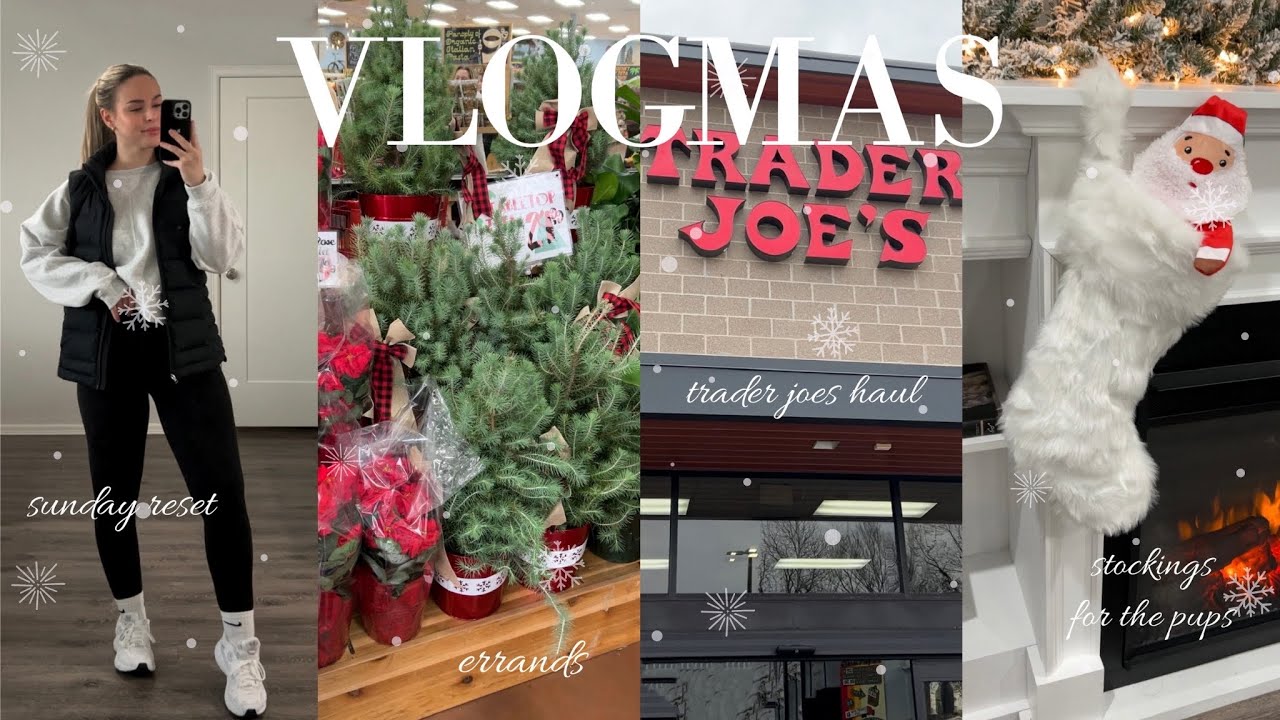 VLOGMAS DAY 4 | sunday reset, errands, trader joe’s haul + making stockings for the pups!