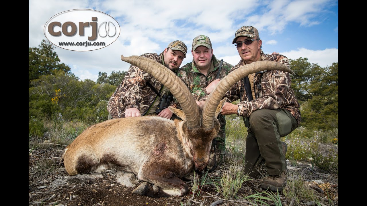 Beceite ibex hunt with Corju Hunting