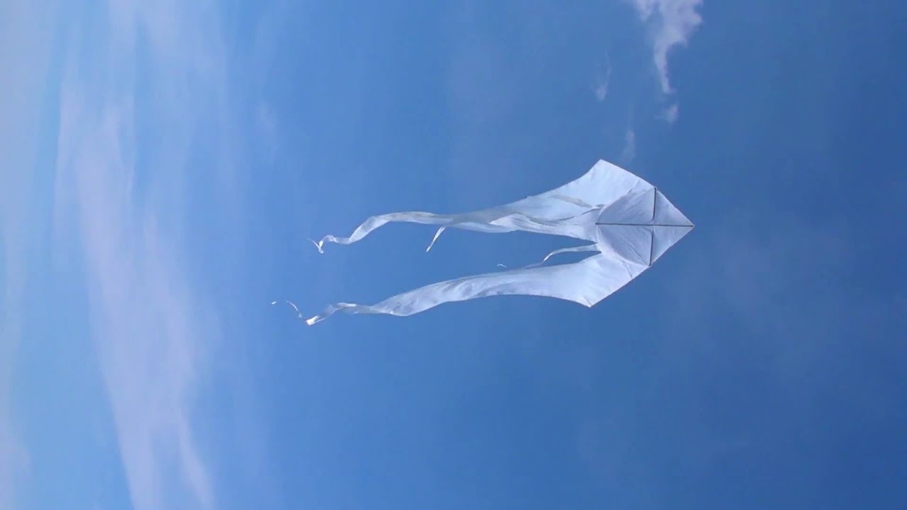 Drachen - Einleiner F-Tail XXL 4m x 14m