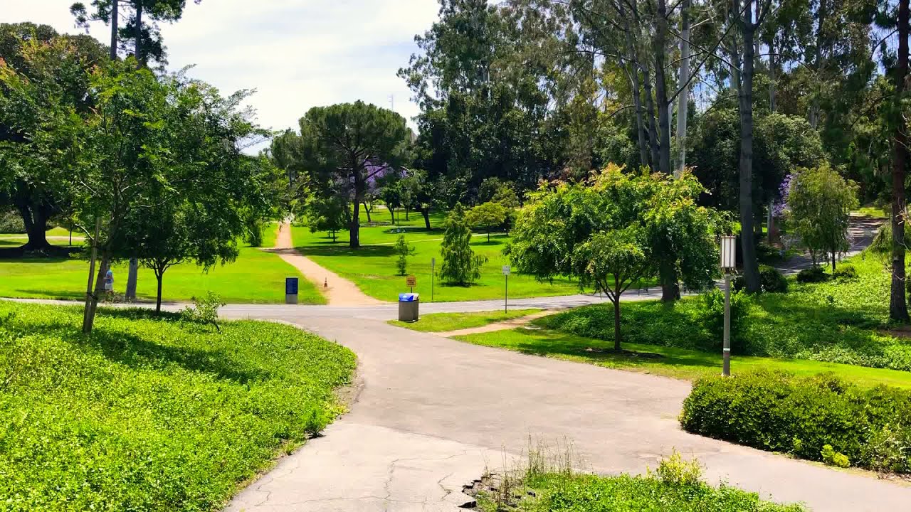 UC IRVINE CAMPUS TOUR - Ring Road to Science Library Walkthrough