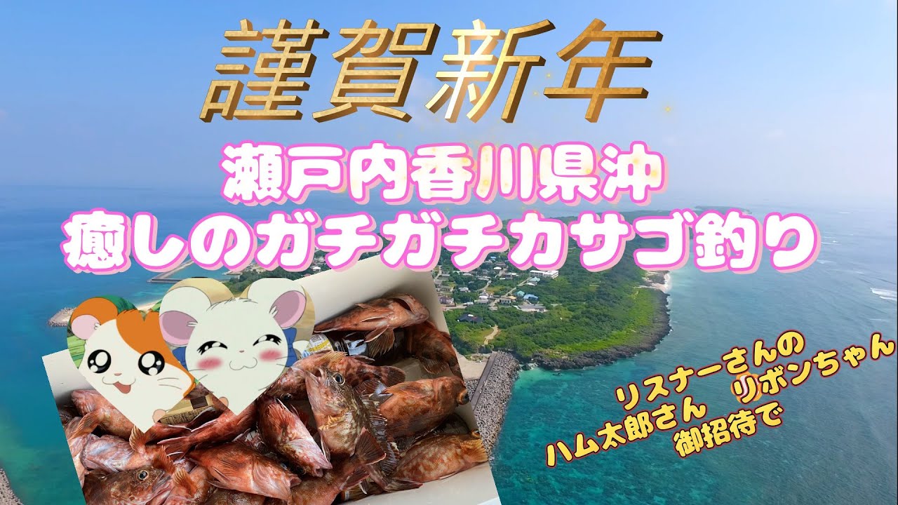 ２時間で爆釣香川県沖癒しのガチガチカサゴ釣り短＃カサゴ釣り＃船釣り