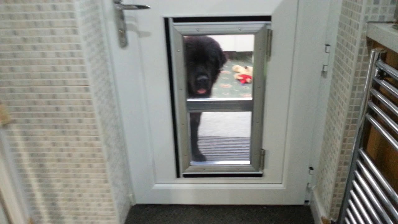 Cafe Style DIY Dog Door