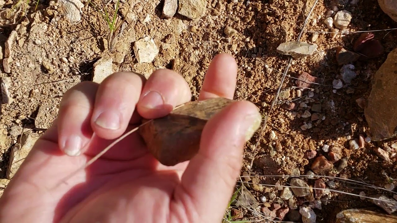 Soils of Uruguay