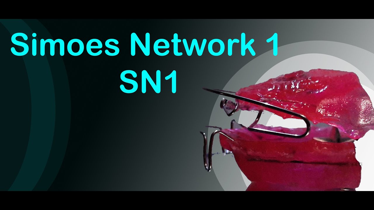 Elaboración SN1 | Simoes Network 1