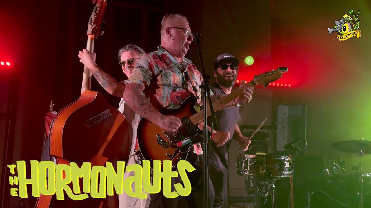 ▲Hormonauts - Live at Villa Tittoni - (August 2025)