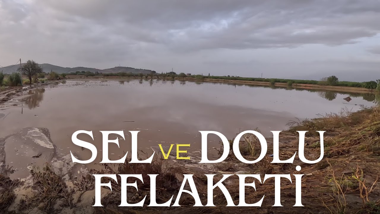 TARLAMIZ SULAR ALTINDA KALDI! SEL ve DOLU FELAKETİ