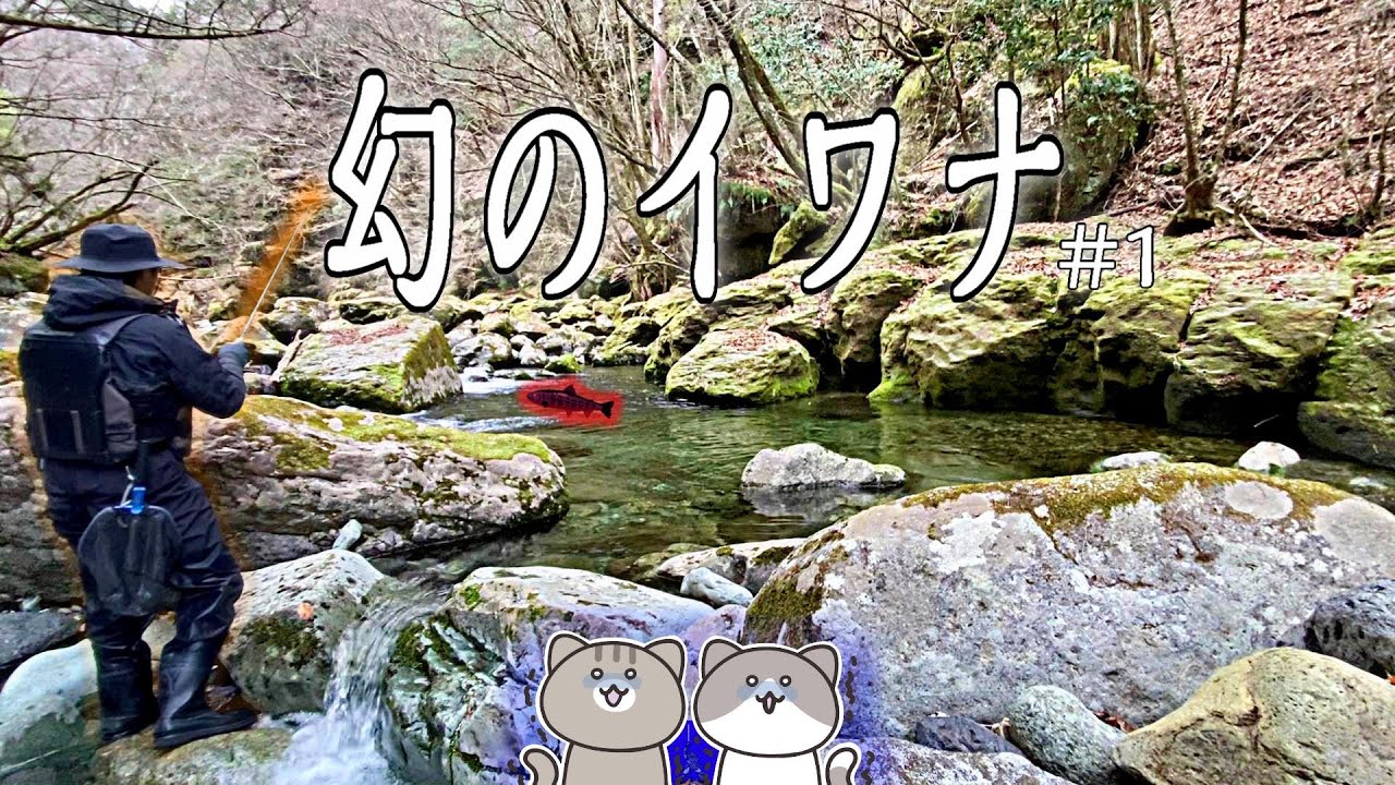 【解禁】竿凍る九州で幻の渓魚を追う！【渓流釣り】
