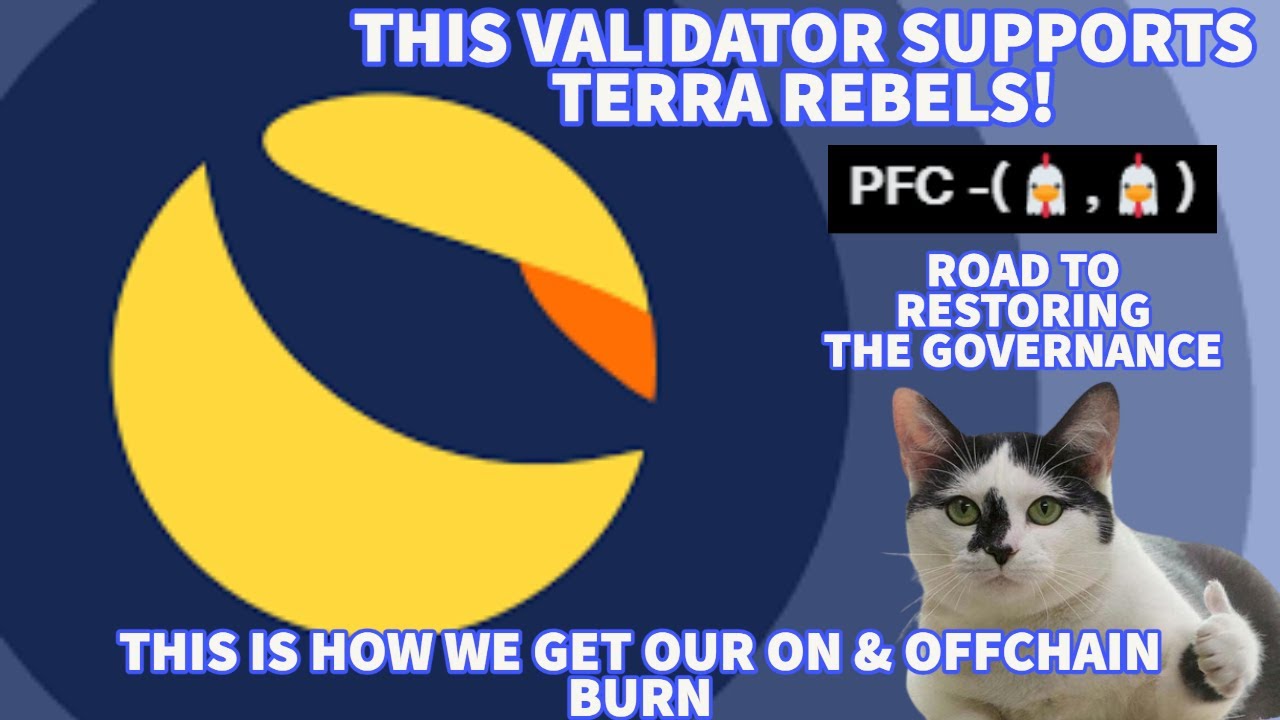 WE HAVE A #LUNC VALIDATOR GO PUBLIC! THEY SUPPORT TERRA REBELS SOFTWARE UPDATE! ROAD TO STAKING! 🚀