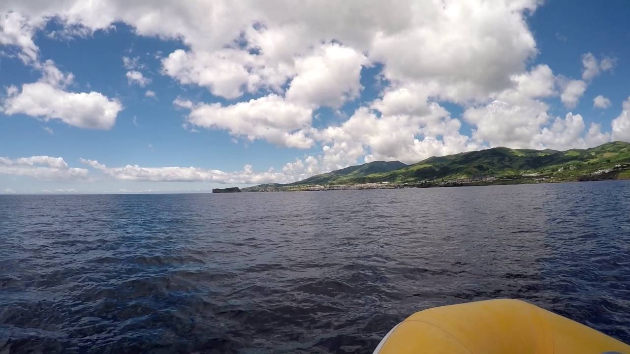 Natación con delfines - Swimming with dolphins. San Miguel (Azores)