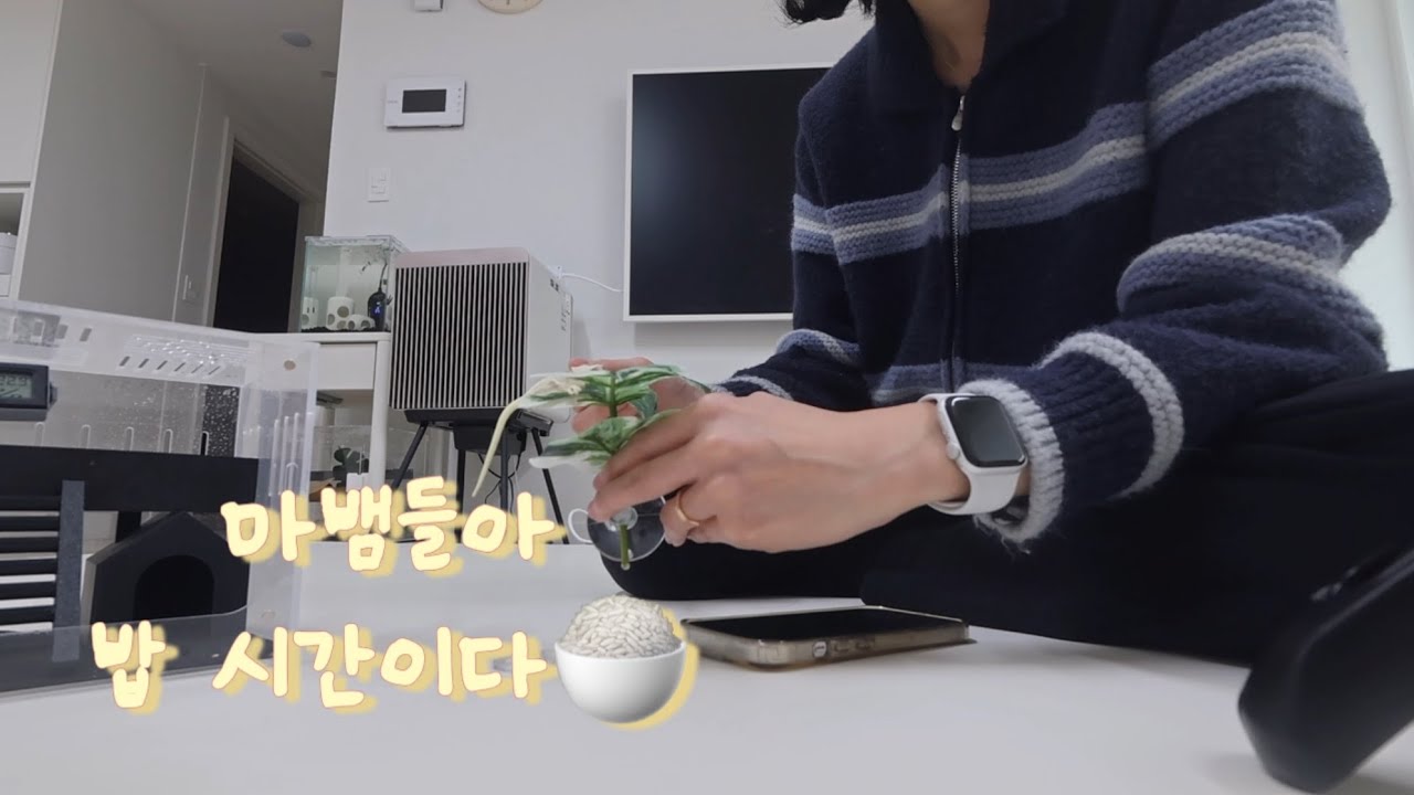 마뱀이들아 밥 먹자!!