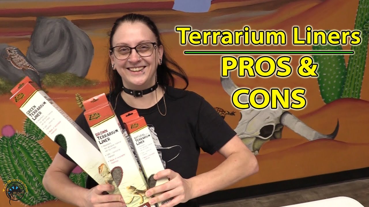 Should You Use Reptile Carpet in Your Tank? - PROS and CONS of Terrarium Liners! 🦎