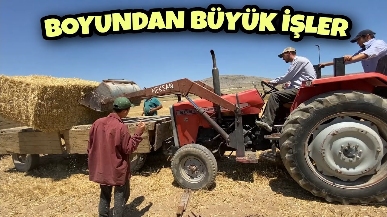 BÜYÜK BALYALARI NASIL TAŞIDIK ? MF 135 VE 266 GOLD İŞ BAŞINDA.